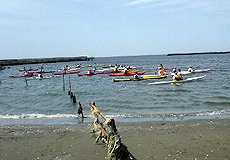 写真004